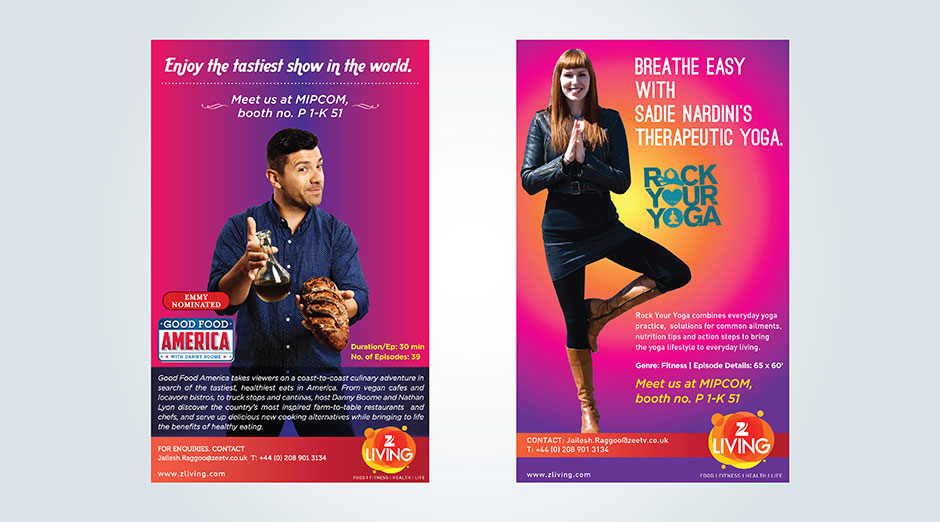young-advertising-agency-casestudy-zee-bollyworld-6